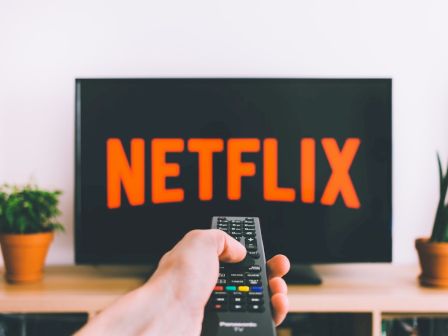 A person is pointing a remote control at a TV screen displaying the Netflix logo, with plants on either side of the TV stand.